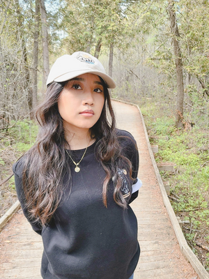 Sunset Mountains Dad Hat